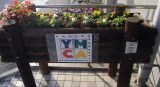 中央YMCA花壇