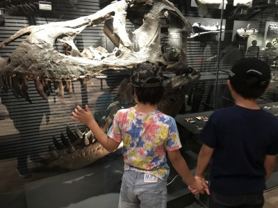 DinoMuseum2