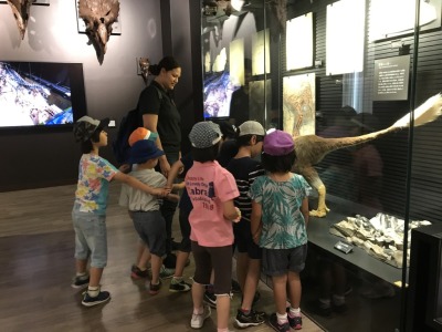 DinoMuseum
