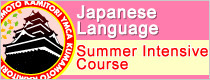 Summer Intensive Course