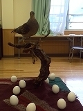 2014-06-25 16.51.12