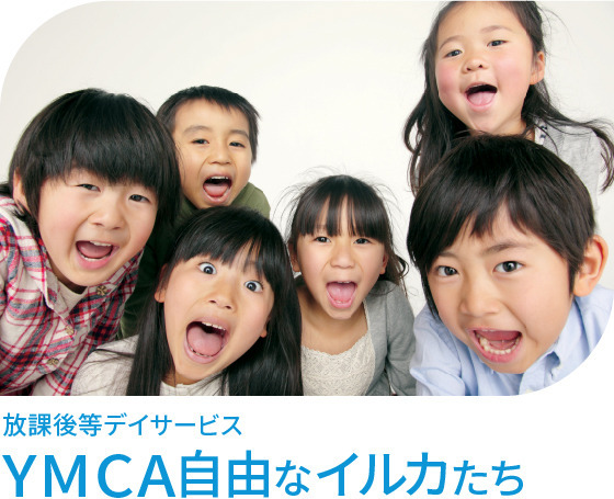 YMCA自由なイルカたち