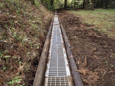P4230028