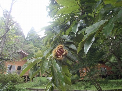 P9140016