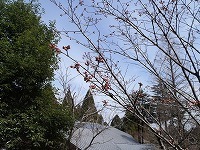 s-P3250625