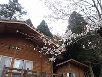 s-P3300642