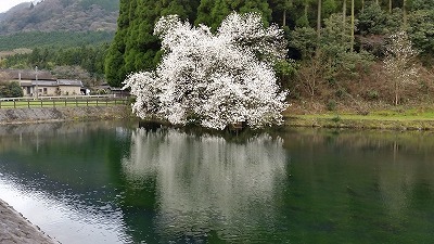 s-20160403_103617