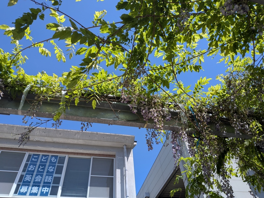 PXL_20260416_015422092