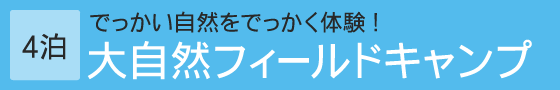 大自然フィールドキャンプ