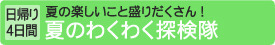 [日帰り4日間]夏のわくわく探検隊