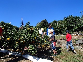 PA120012