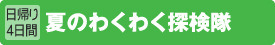 [日帰り4日間]夏のわくわく探検隊