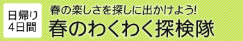 日帰り4日間　春のわくわく探検鯛