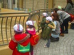 IMG_2883
