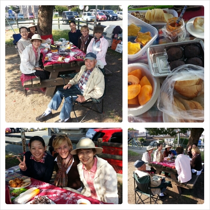 picnic senior