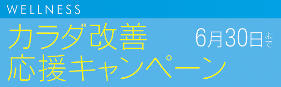 wel_campaign