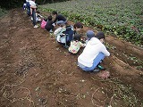 IMG_1155