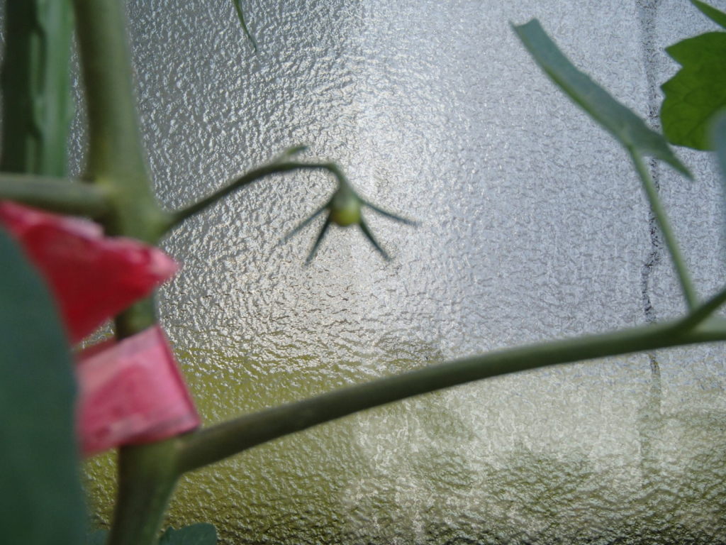 P6021201