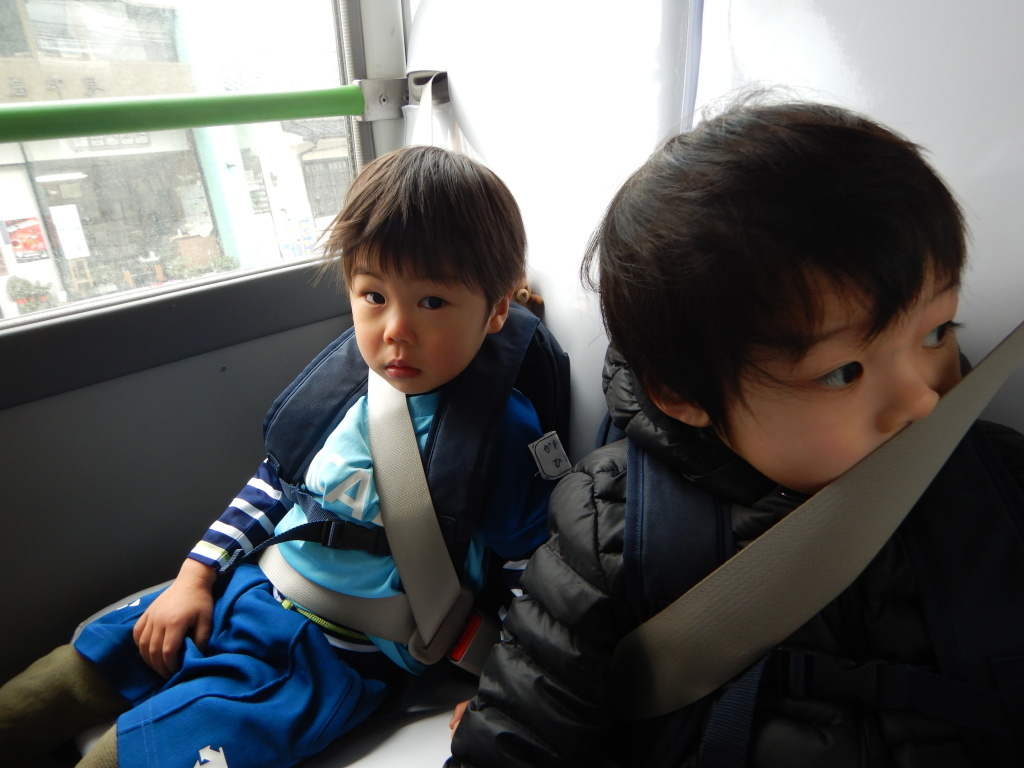 DSCN6584