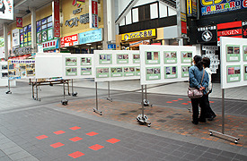 パネル展の様子