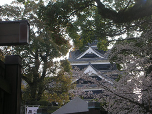 kumamoto castle