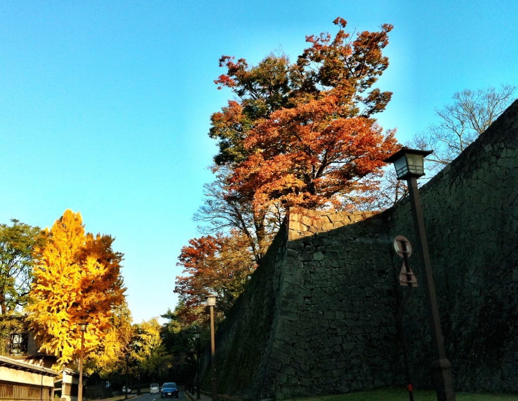 2012-11-18 16 25 23