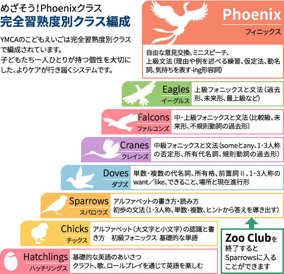 レベルチャート表