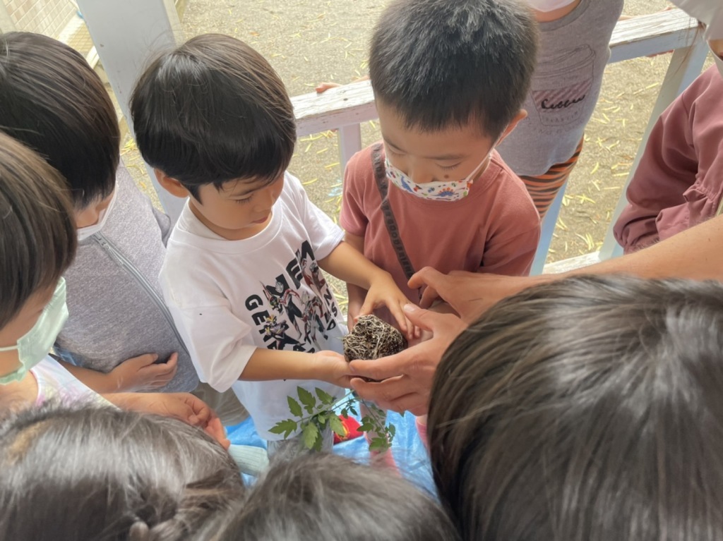 Kids Club poanting tomatos BLOG2