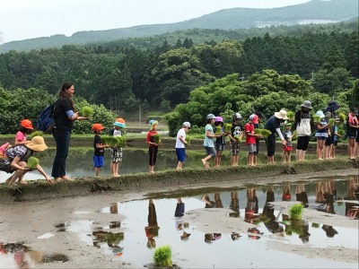 ＴＫＵかたらんね田植えバスツアー水田へ