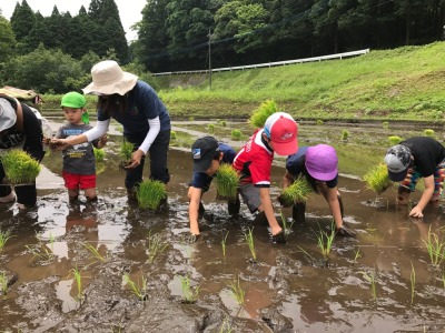 ＴＫＵかたらんね田植えバスツアー田植え中１