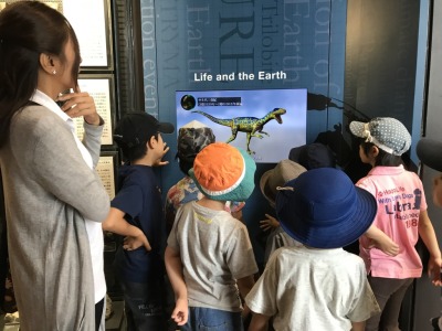 DinoMuseum