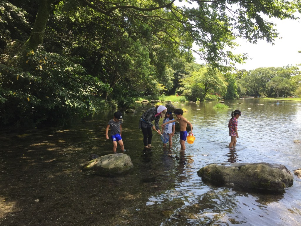 みなみｻｻﾞﾝ八景水谷①