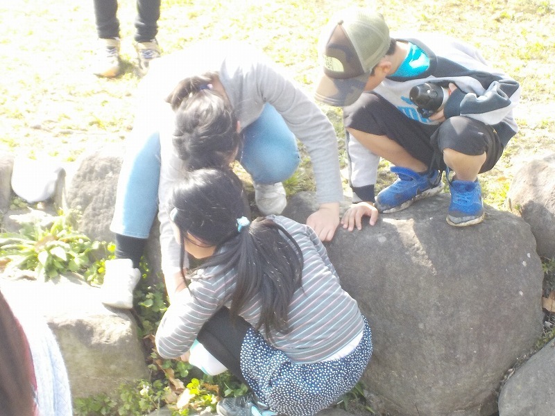 DSCN2547