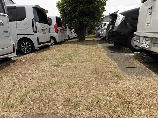 CIMG4995