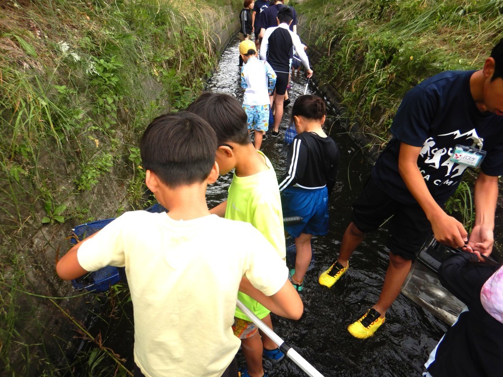 DSCN6745(2)
