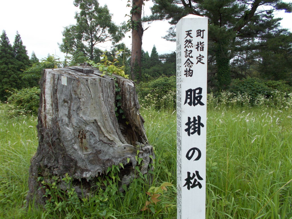 DSCN0091