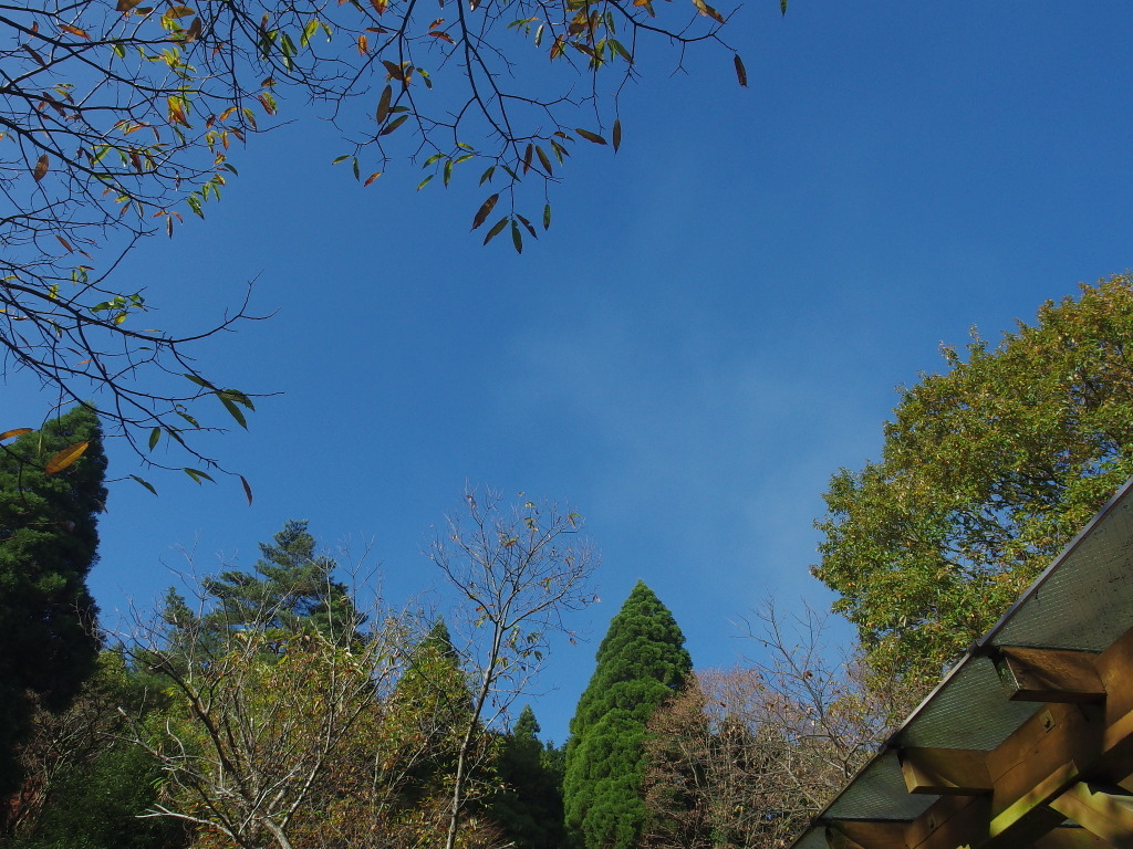 20151130(2)