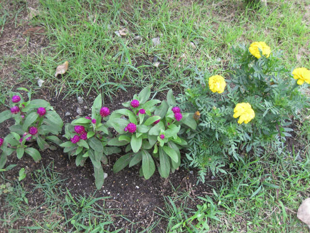 sIMG_4175