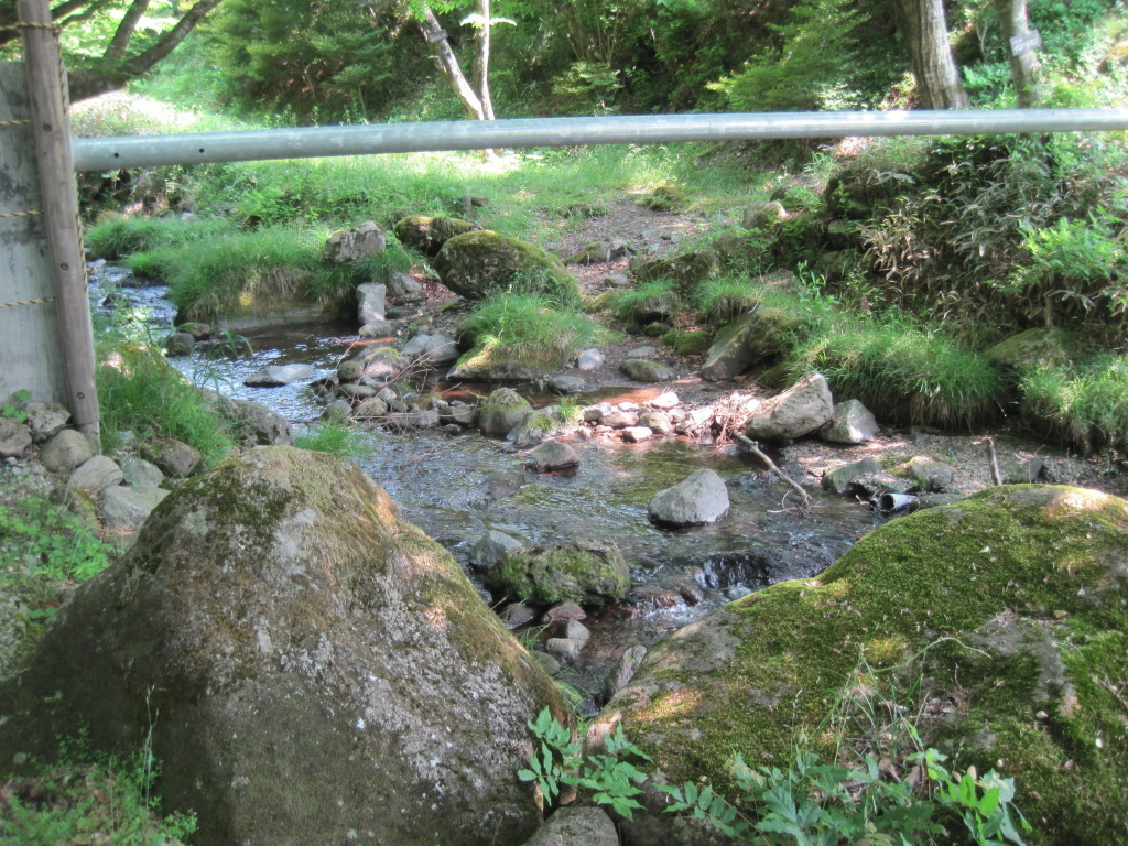 20120529 035