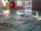 IMG_0907
