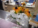 DSCN3062