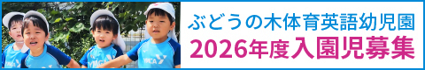 ぶどうの木体育英語幼児園 見学説明会