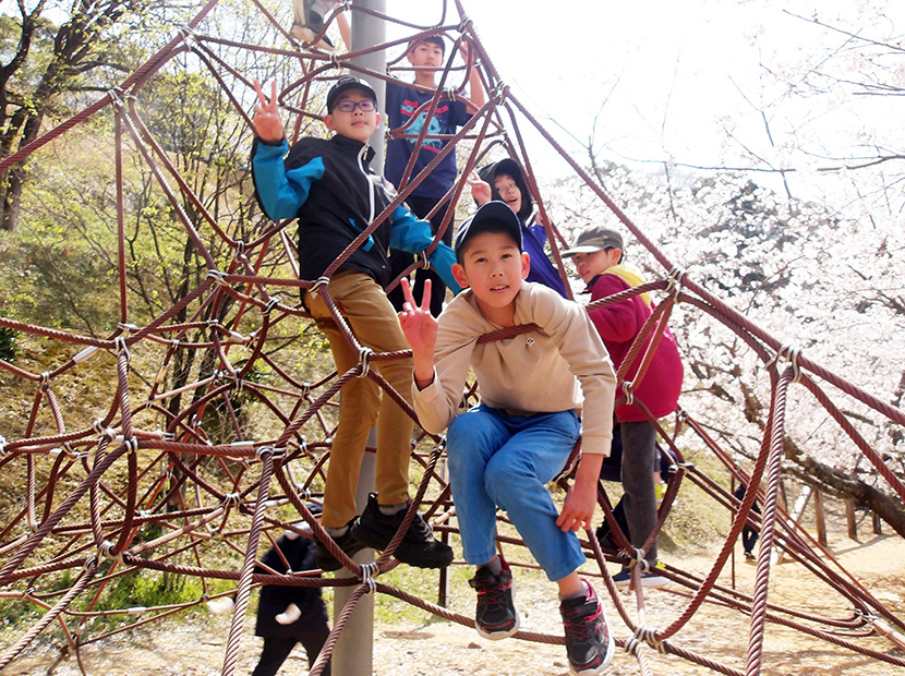 サマースクール