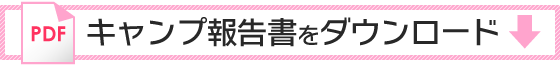 報告書（PDF）をダウンロード