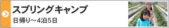 スプリングキャンプ