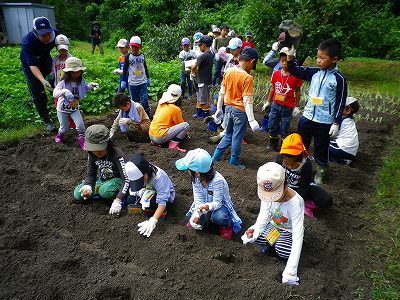 IMGP0195