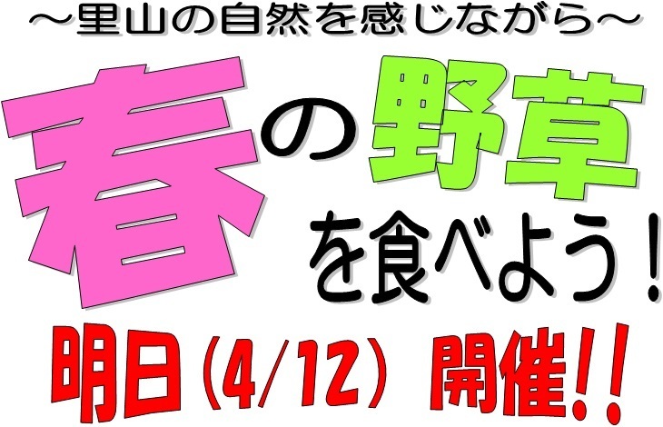 春野草２