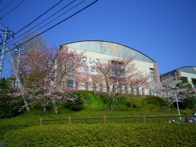 IMGP2064