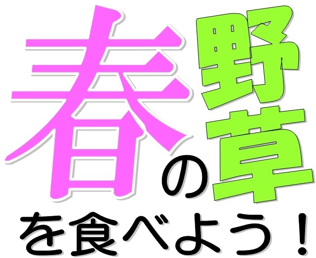 タイトル