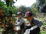 DSCF2859